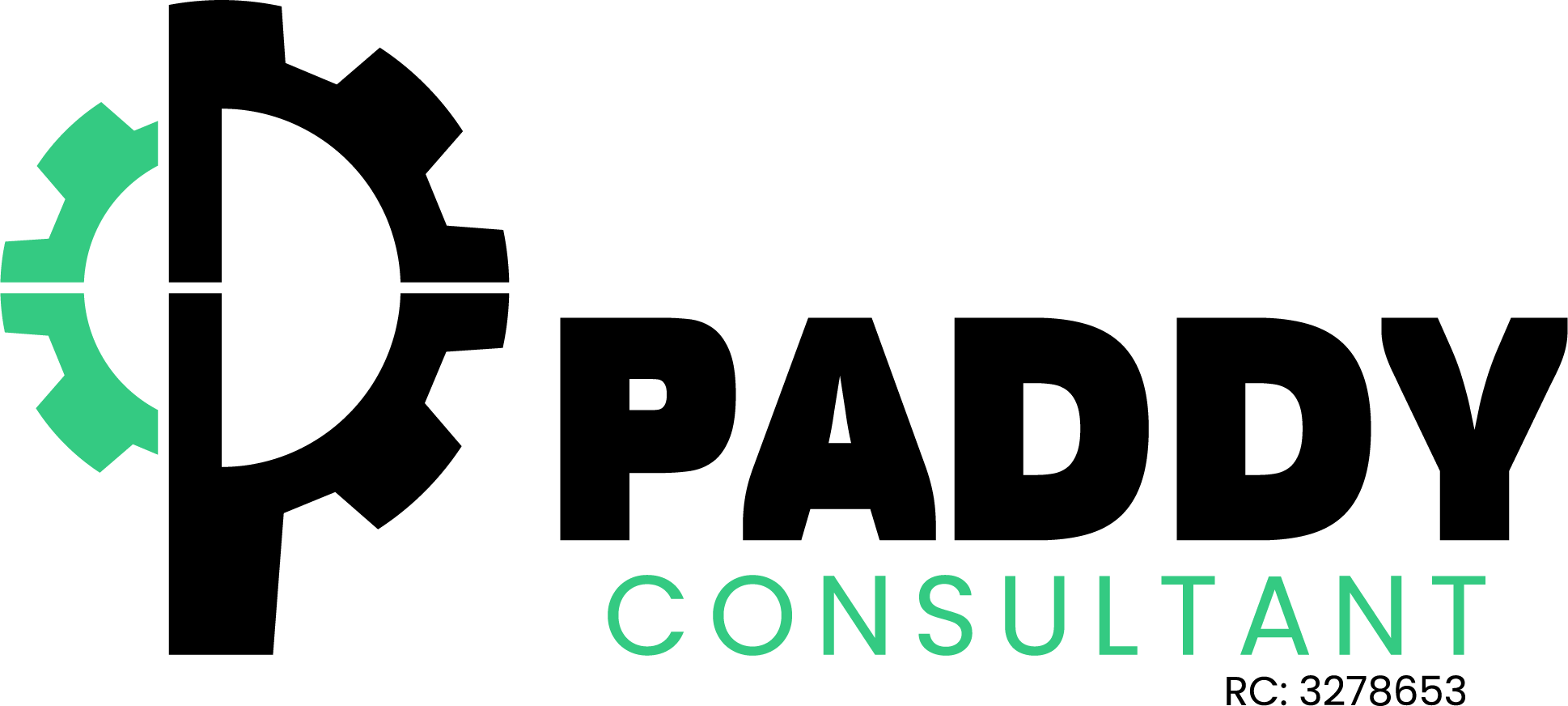 Paddy Consultant - Business Consulting